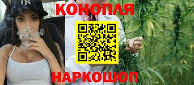 амф Бийск