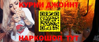 амф Бийск