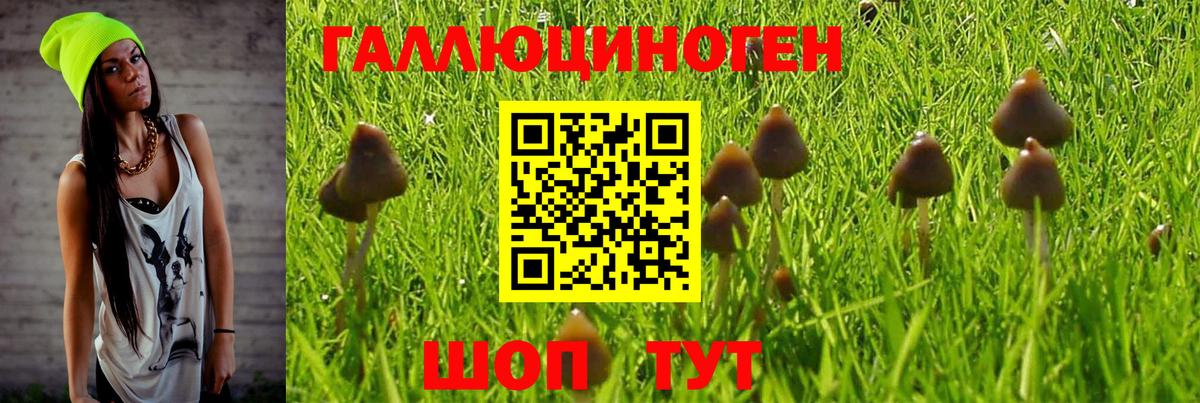 Псилоцибиновые грибы MAGIC MUSHROOMS  Вход с VPN  Губаха 